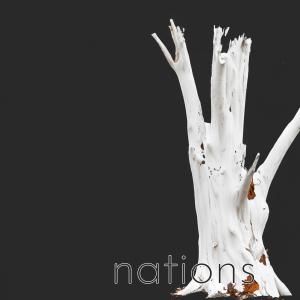 NATIONS的專輯Chasing the Wind