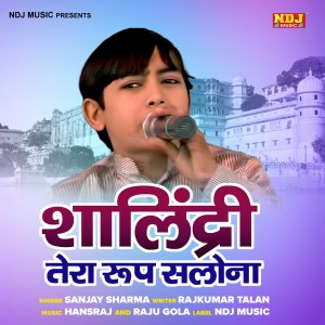 Listen to Salendri Tera Roop Salona song with lyrics from Sanjay Sharma