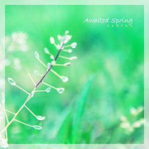 อัลบัม Awaited Spring ศิลปิน 제리나