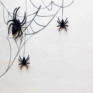 อัลบัม 400 Hertz ~ Spiders Hate This ~ Anti Spider Frequency HQ ศิลปิน James Smith