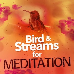 Birds & Streams for Meditation