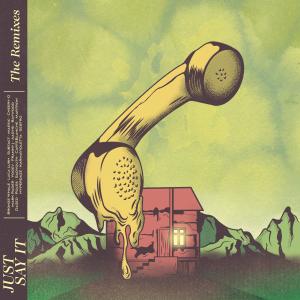 ดาวน์โหลดและฟังเพลง Just Say It (Sadyouth Remix) พร้อมเนื้อเพลงจาก Charlie Crown