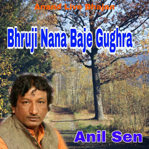 Album Bhruji Nana Baje Gughra from Anil Sen