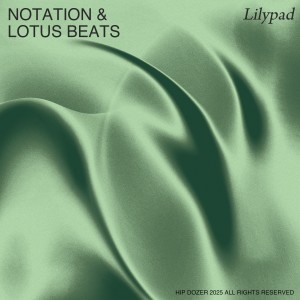 Notation的专辑Lilypad