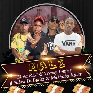 ดาวน์โหลดและฟังเพลง Mali (feat. Sabza Di Buckz & Makhaba Killer) พร้อมเนื้อเพลงจาก Treezy Empee