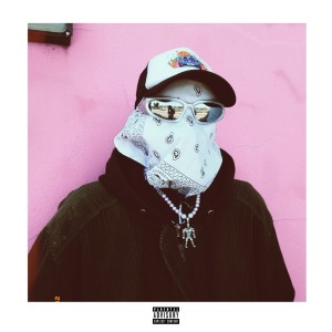 Album Hide My Face (Explicit) from Nu Kamar