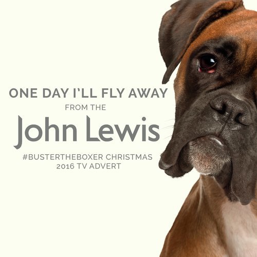 One Day I'll Fly Away (From the John Lewis "Buster the Boxer" Christmas 2016 T.V. Advert)