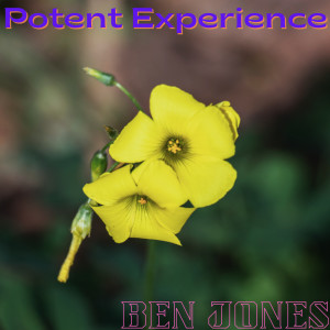 Ben Jones的專輯Potent Experience