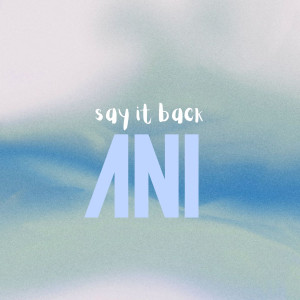 Album Say It Back from Ani