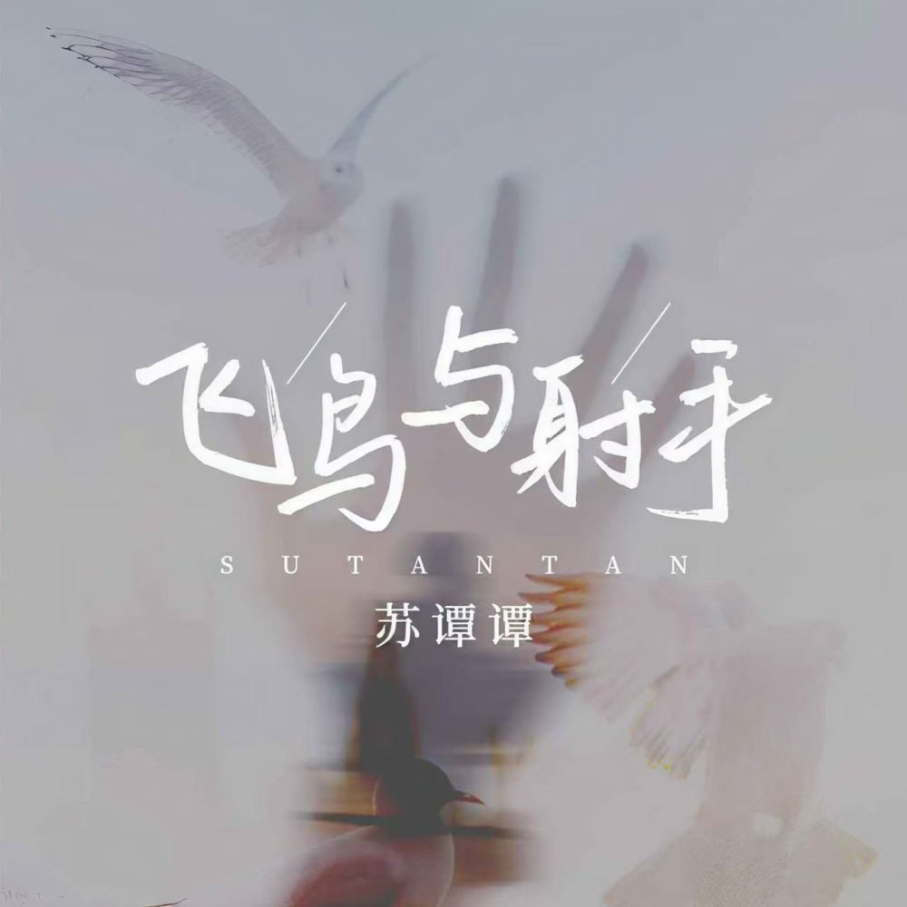 飞鸟与射手 (DJ九零版伴奏)