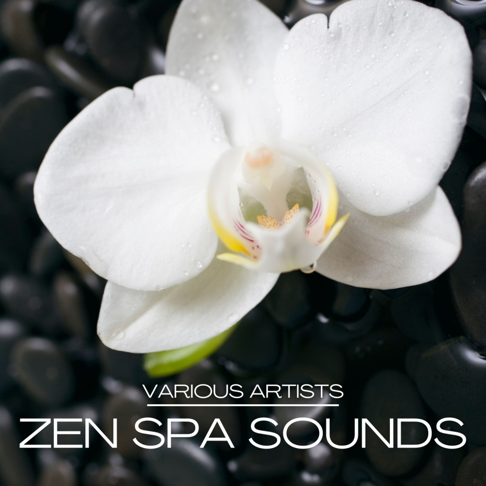 Sacred Spaces, Sacred Hills