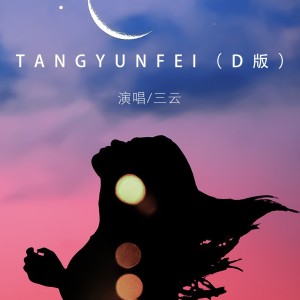 唐不火的專輯TANGYUNFEI(D版）