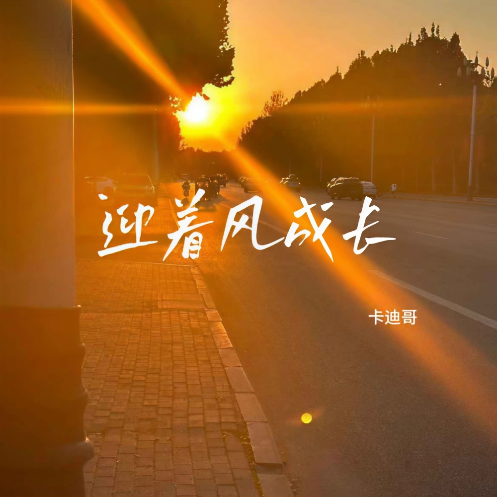 迎着风成长 (伴奏)