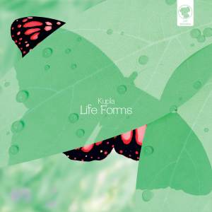 收聽Kupla的Soft to Touch (Original Mix)歌詞歌曲