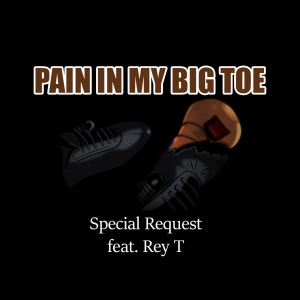 收聽Special Request的Something So Beautiful歌詞歌曲