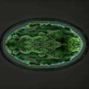 ดาวน์โหลดและฟังเพลง Grasshopper พร้อมเนื้อเพลงจาก Mamwadi