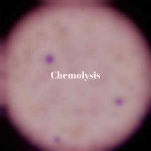 ดาวน์โหลดและฟังเพลง Chemolysis พร้อมเนื้อเพลงจาก Rods Bahu