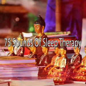 ดาวน์โหลดและฟังเพลง Nourishing Thought พร้อมเนื้อเพลงจาก Meditation