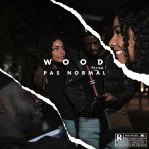 Album Pas Normal (Explicit) oleh Wood