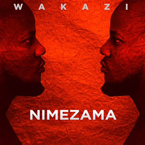 Listen to Nimezama song with lyrics from Wakazi