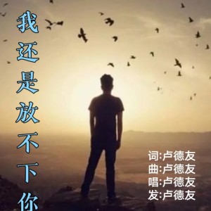Listen to 我还是放不下你（男版） (伴奏) song with lyrics from 卢德友