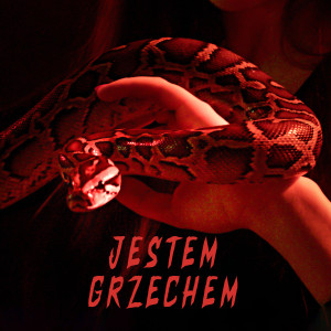 收听Arne的Jestem grzechem (Explicit)歌词歌曲