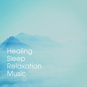 Album Healing Sleep Relaxation Music from Relaxation and Meditation