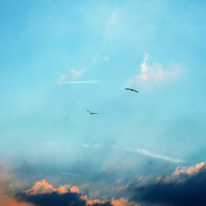 收听Relaxing Music Therapy的River of Dreams歌词歌曲