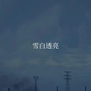 Dengarkan lagu 雪白透亮 nyanyian Gala dengan lirik