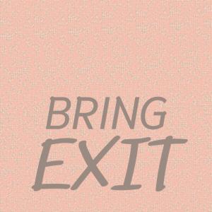 Various Artists的專輯Bring Exit