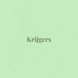 收聽windflow的Krijgers (feat. Mayvision, Sherr & King Razoul Aquarius) (Explicit)歌詞歌曲