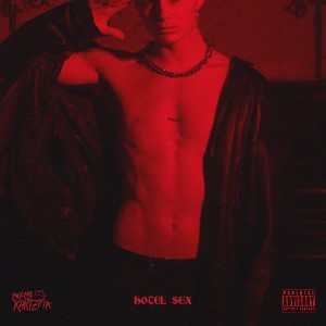 Album Hotel Sex (Explicit) oleh Call Me Karizma