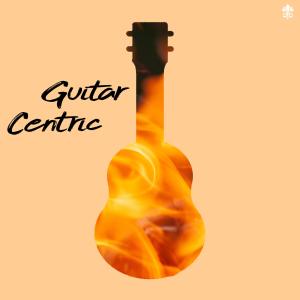 Album Guitar Centric from Various