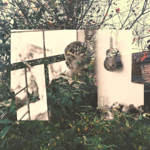Listen to Forest Magic song with lyrics from Tim Legend