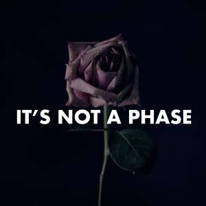 Various的專輯It's Not a Phase (Explicit)