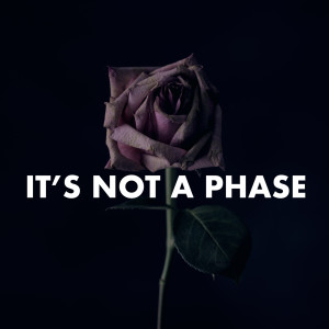 Various Artists的專輯It's Not a Phase (Explicit)