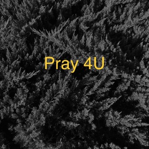 Listen to Pray 4U (feat. S.O.) song with lyrics from itsnomadic
