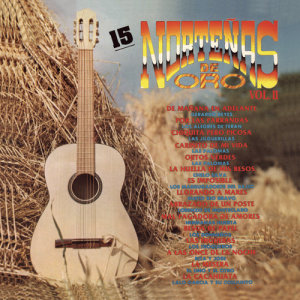 ดาวน์โหลดและฟังเพลง De Mañana en Adelante พร้อมเนื้อเพลงจาก Gerardo Reyes