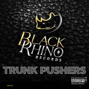 收听Black Rhino Camp的Intro (feat. Cool Nutz) (Explicit)歌词歌曲