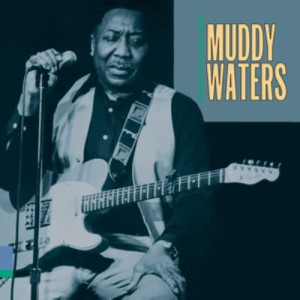 收聽Muddy Waters的The Blues Had a Baby and They Named It Rock and Roll歌詞歌曲