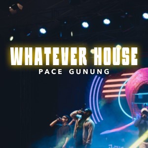 Album Whatever House (Explicit) from Pace Gunung