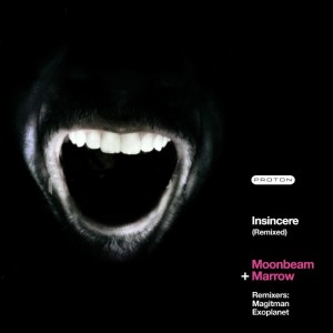 Marrow的專輯Insincere (Remixed)