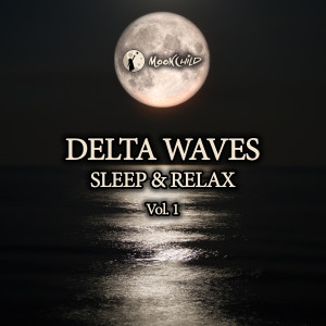 Dengarkan Delta Waves lagu dari MoonChild Relax Sleep ASMR dengan lirik