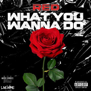 อัลบัม What You Wanna Do (Explicit) ศิลปิน Red