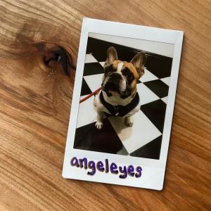 Listen to angeleyes song with lyrics from Scoobert Doobert