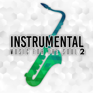 的专辑Instrumental Music for the Soul-2