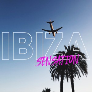 Album Ibiza Sensation oleh Various Artists