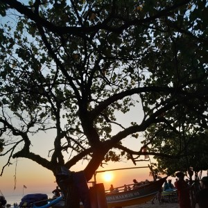 收听Yohana的Immersive House歌词歌曲