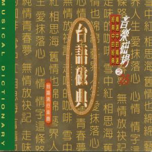 Album 音乐磁场: 台语磁典精选 (25) oleh 音乐磁场