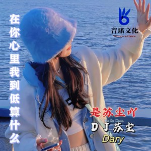 Album Не Лето from Su Chen